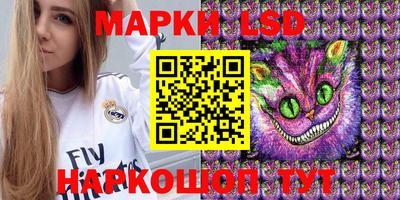 индика Гусь-Хрустальный