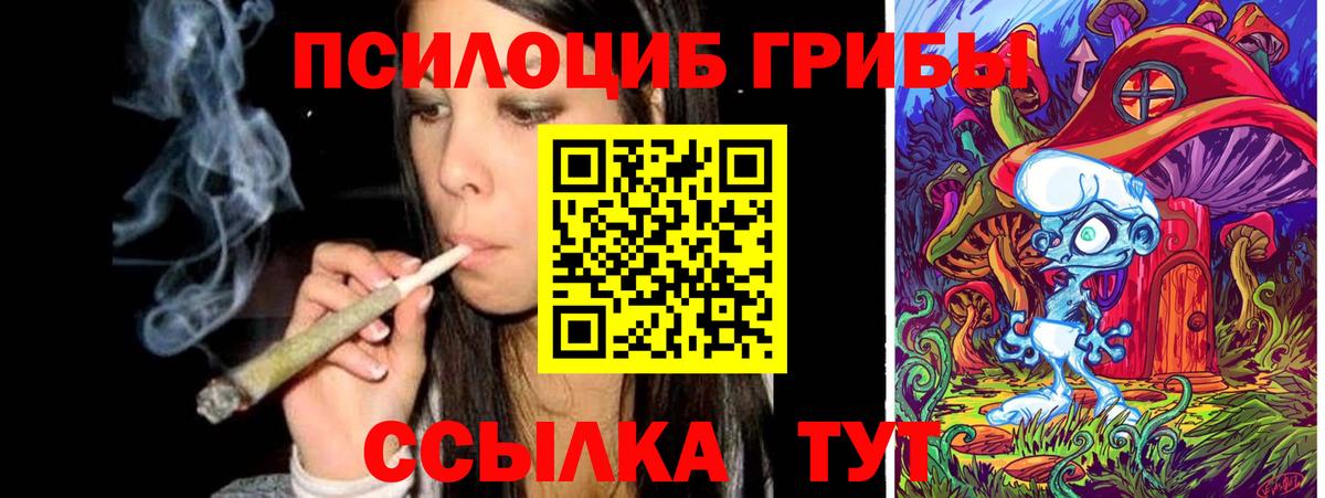 как найти наркотики  Псилоцибиновые грибы ЛСД  Вход с VPN  Кубинка 